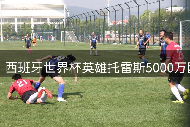 西班牙世界杯英雄托雷斯5000万欧加盟巴黎